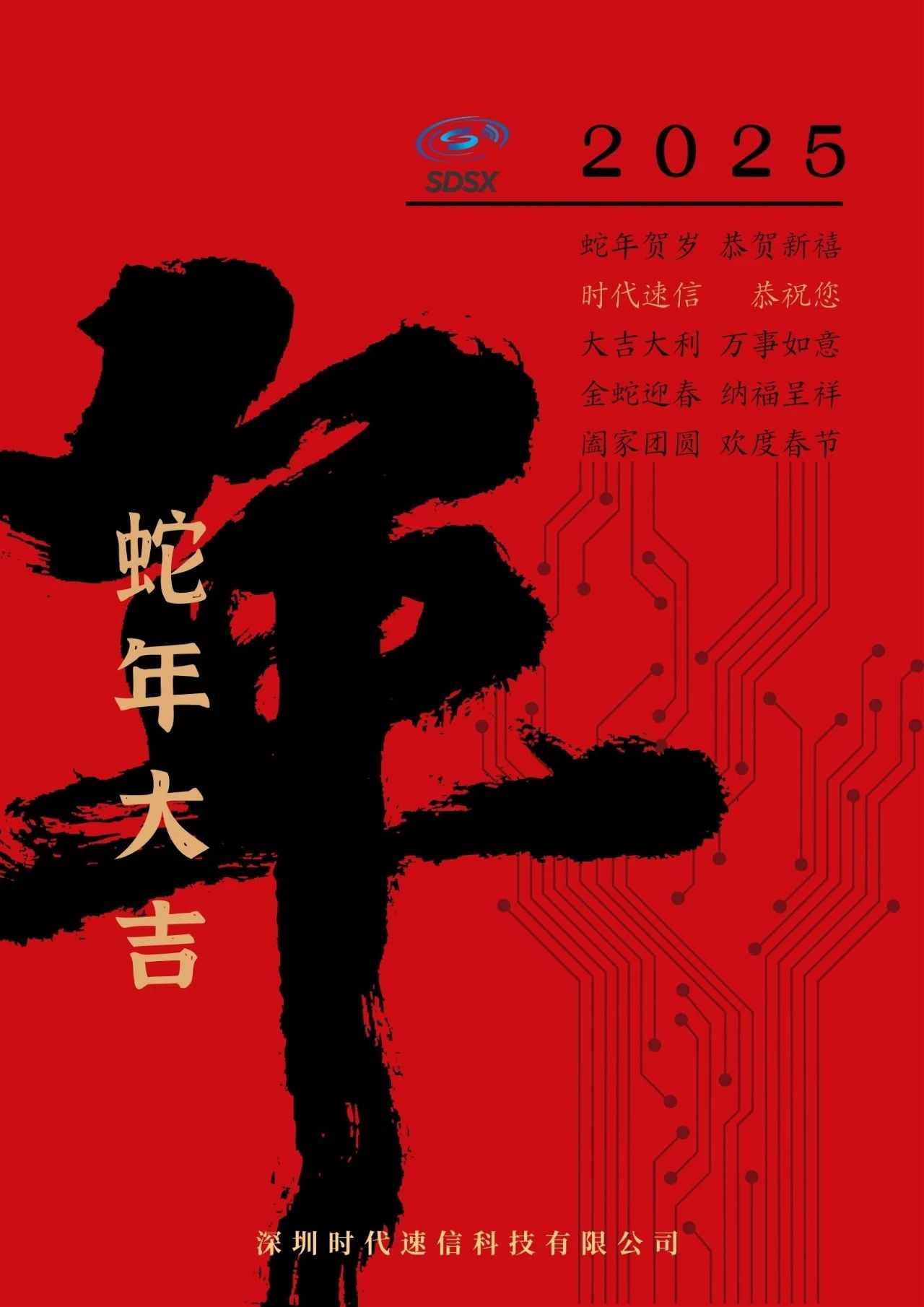 Happy Year of the Snake | SDSX Sends You New Spring Festival Greetings!